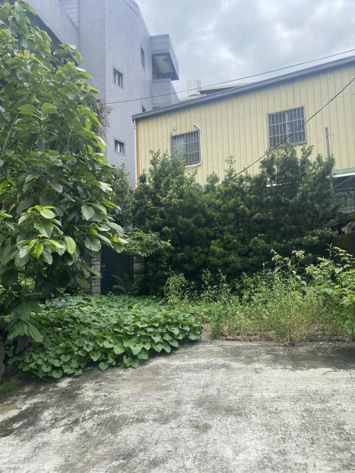 園藝維護案件圖片 園藝維護案件圖片