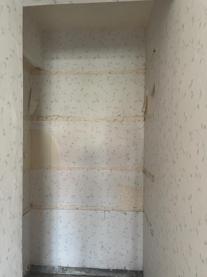 壁紙清除案件圖片