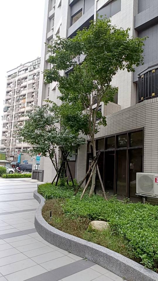 園藝維護案件圖片