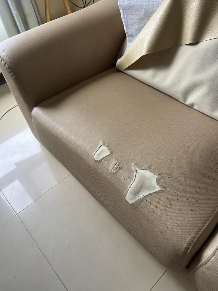 沙發修理案件圖片 沙發修理案件圖片