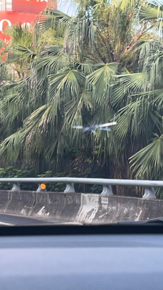 汽車玻璃修補案件圖片