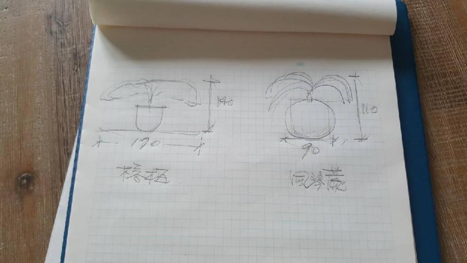 園藝維護案件圖片