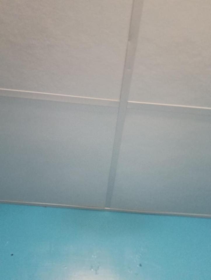 燈具安裝案件圖片 燈具安裝案件圖片