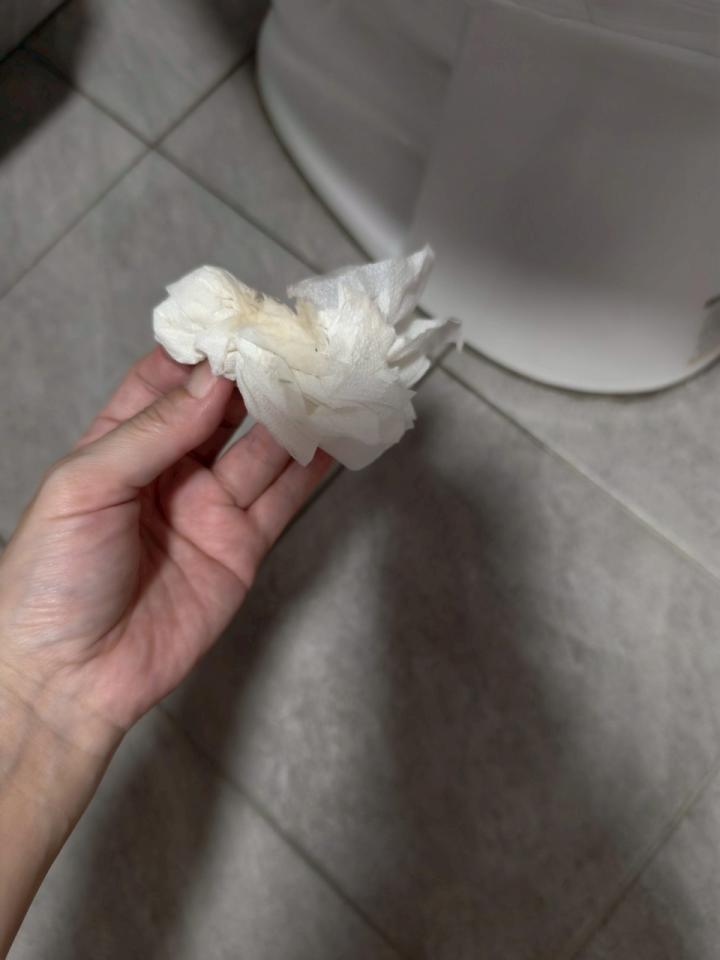 馬桶裝修案件圖片
