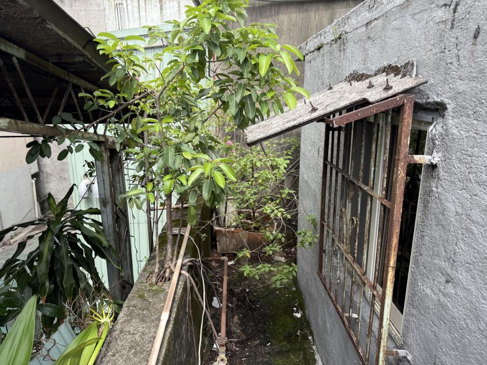 園藝維護案件圖片