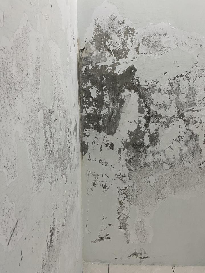 抓漏案件圖片
