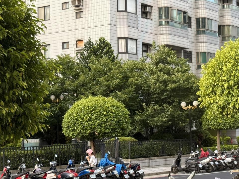 園藝維護案件圖片