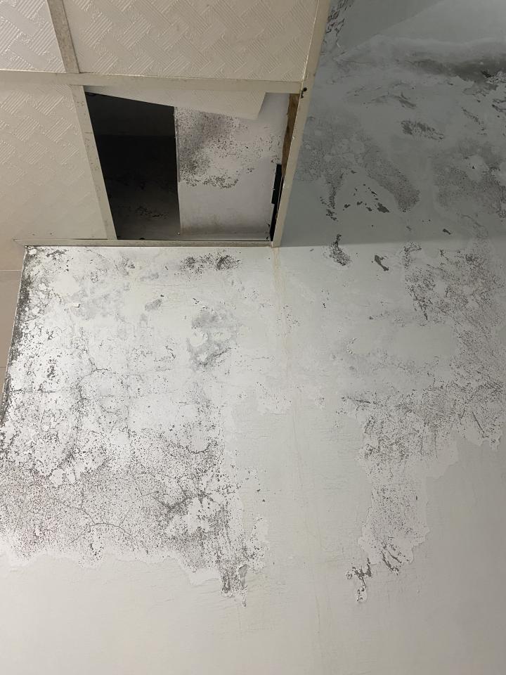 抓漏案件圖片