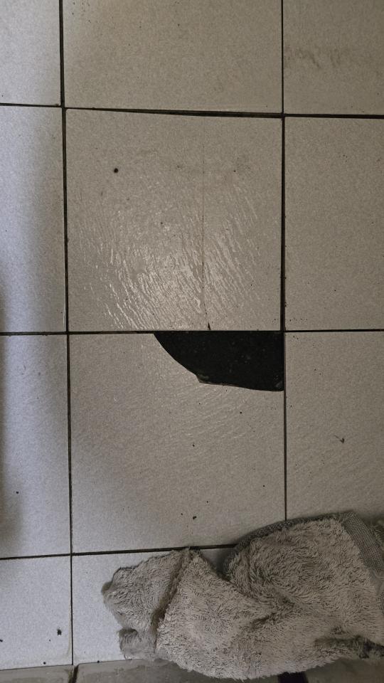 泥作/水泥施工案件圖片