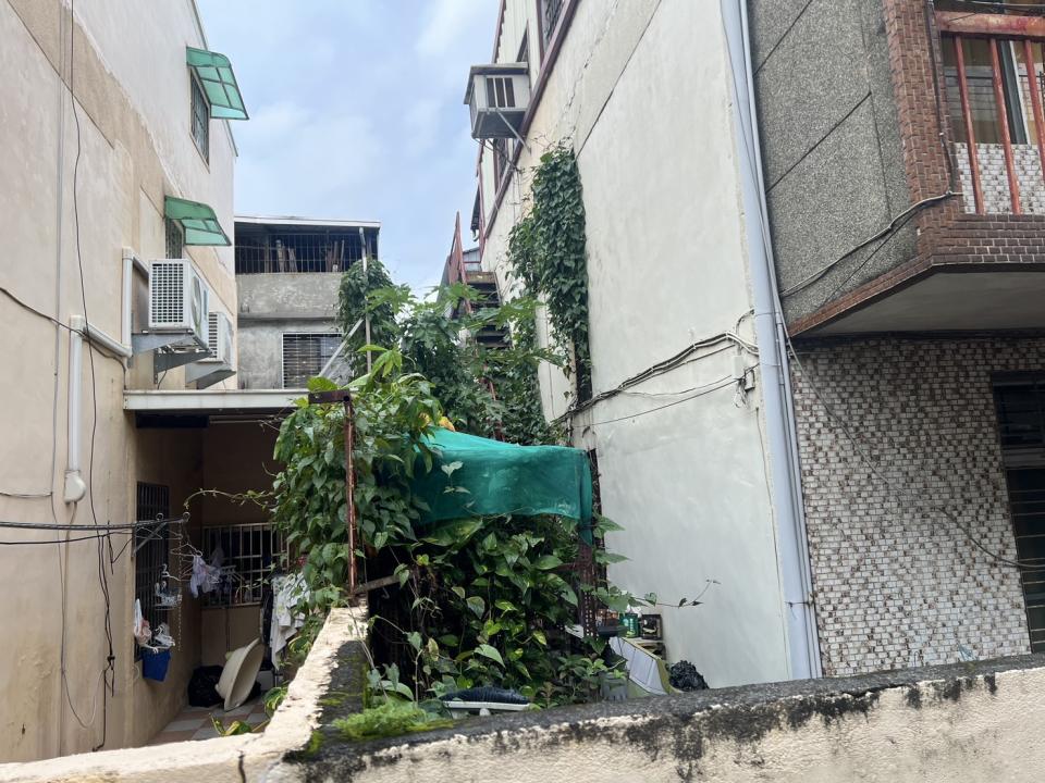 園藝維護案件圖片