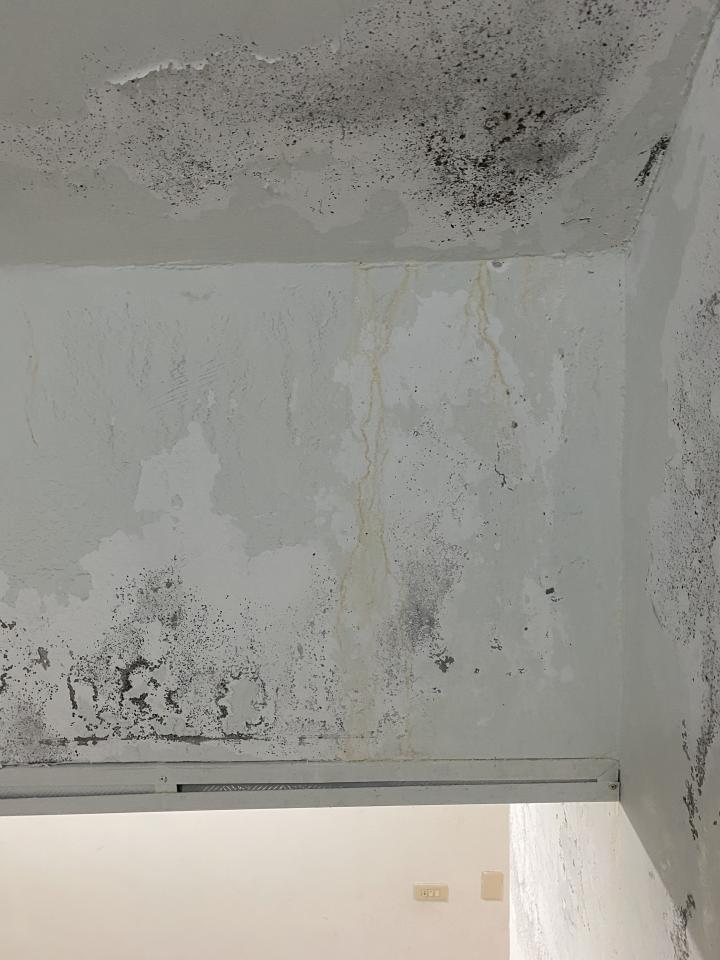 抓漏案件圖片