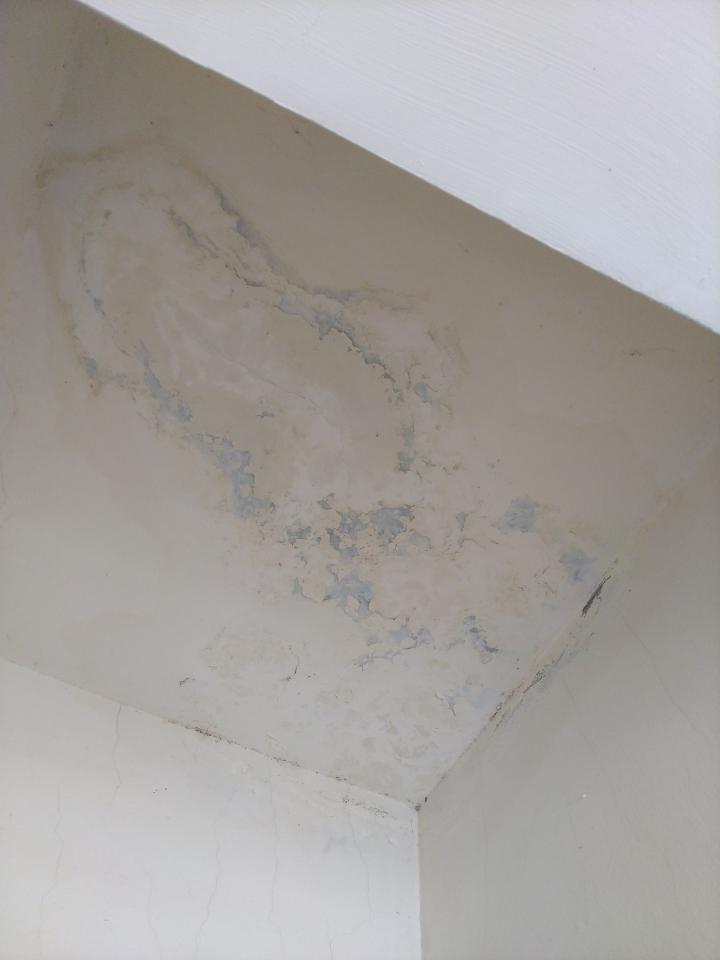 抓漏案件圖片 抓漏案件圖片