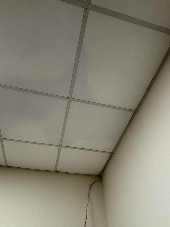 抓漏案件圖片