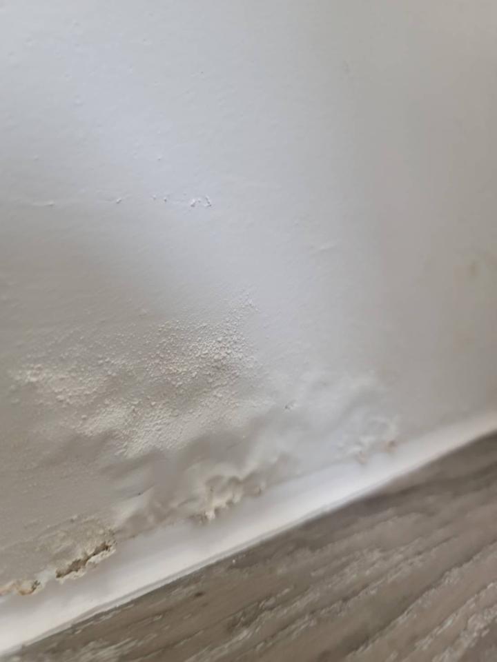 油漆工程案件圖片