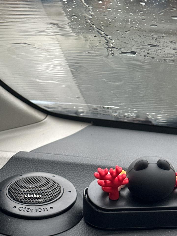 汽車玻璃修補案件圖片 汽車玻璃修補案件圖片