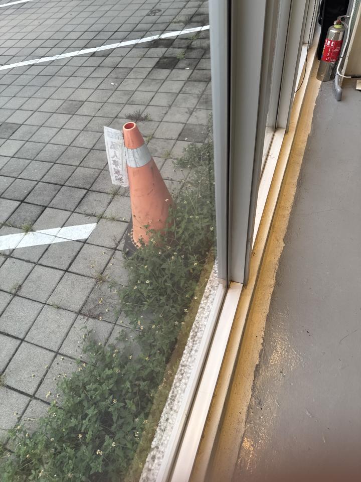 園藝維護案件圖片 園藝維護案件圖片