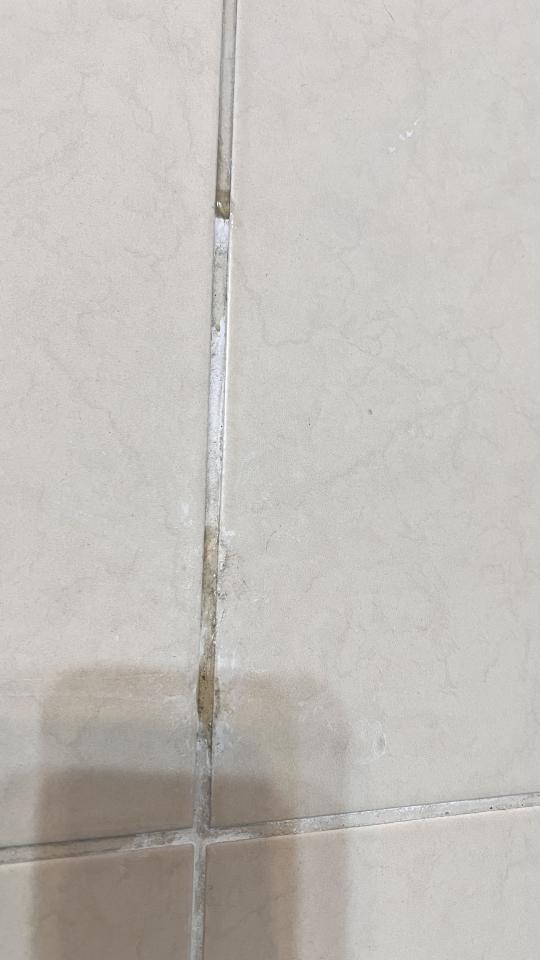 漏水處理案件圖片