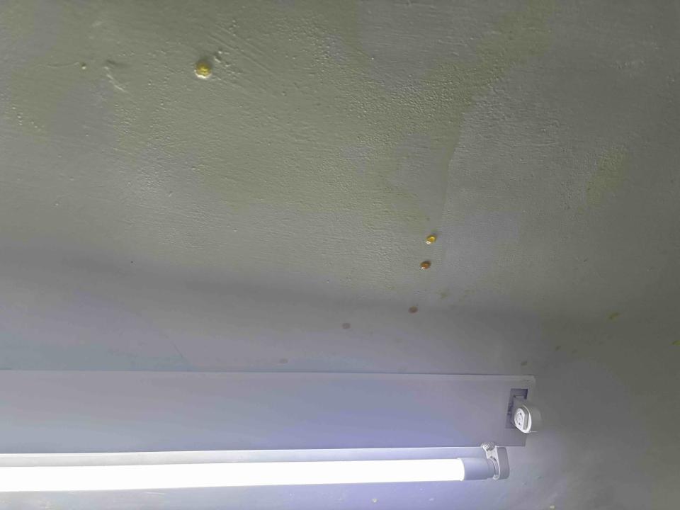 漏水處理案件圖片