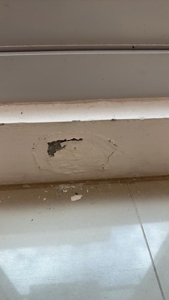 油漆工程案件圖片
