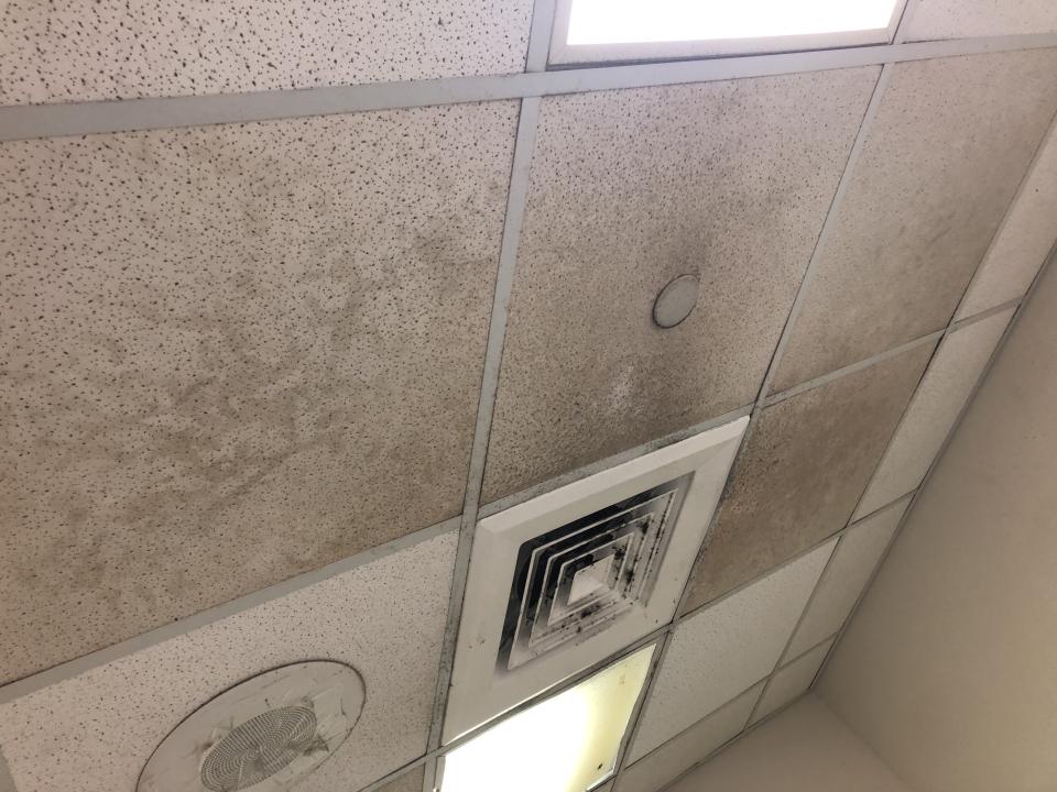 除霉案件圖片
