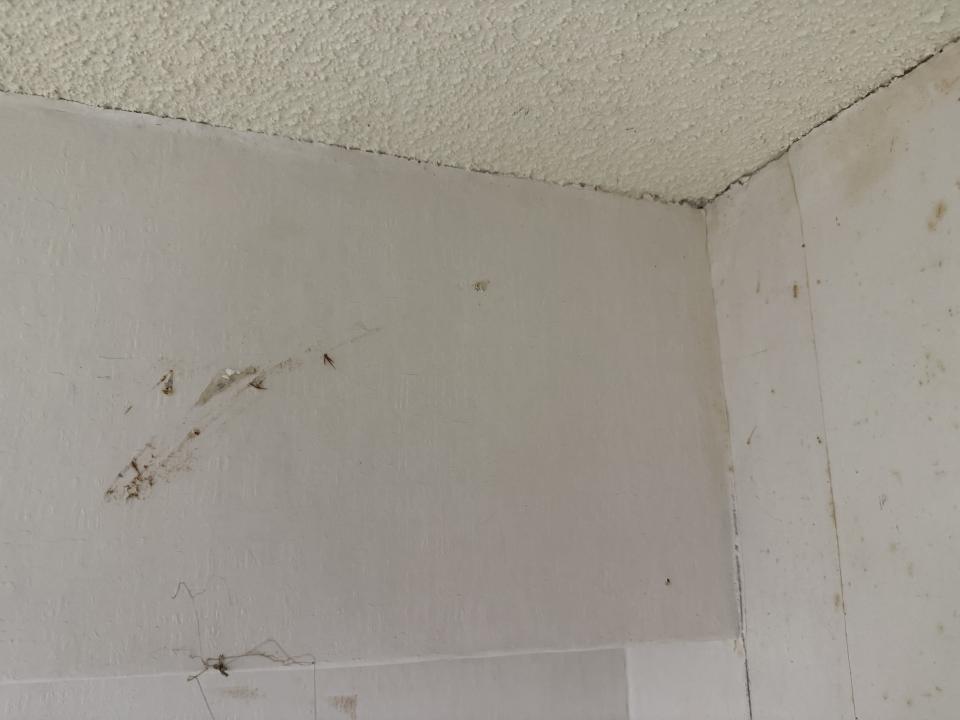 泥作/水泥施工案件圖片