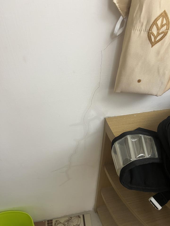 油漆工程案件圖片