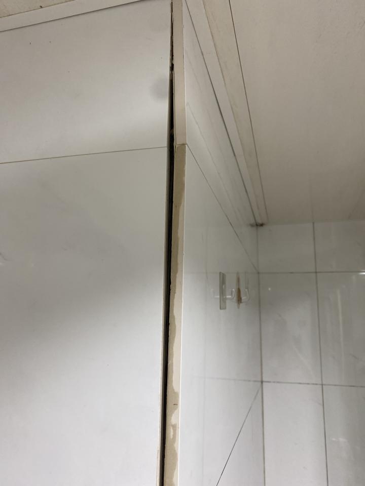 磁磚修補案件圖片