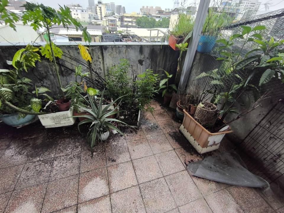 大型垃圾回收案件圖片