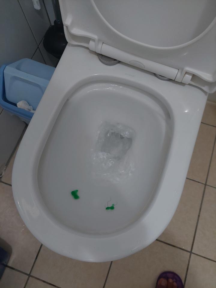 馬桶裝修案件圖片