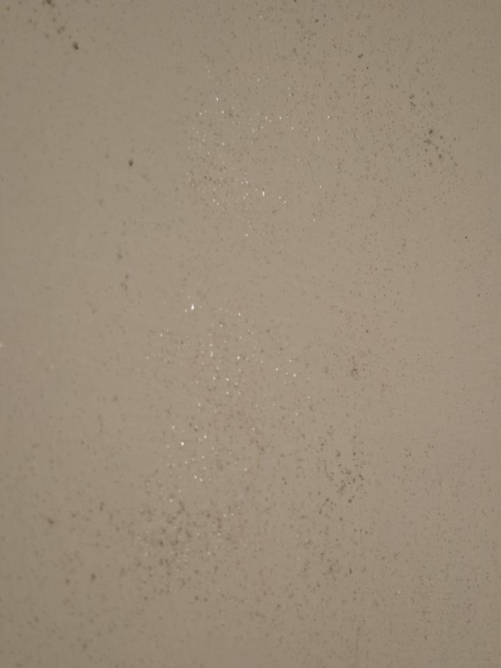 抓漏案件圖片