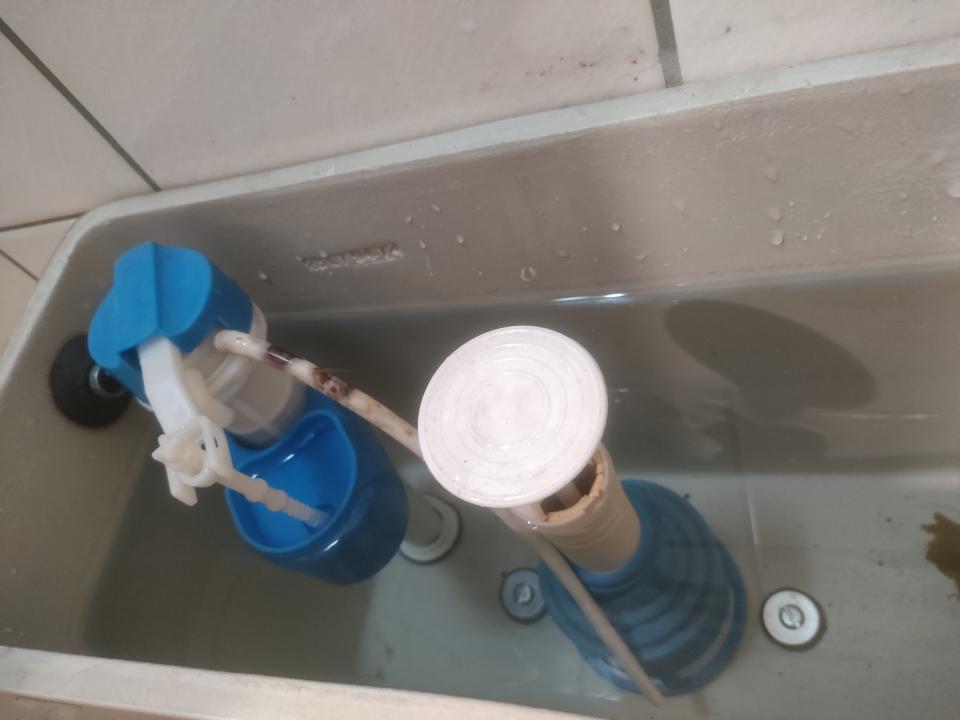 馬桶裝修案件圖片