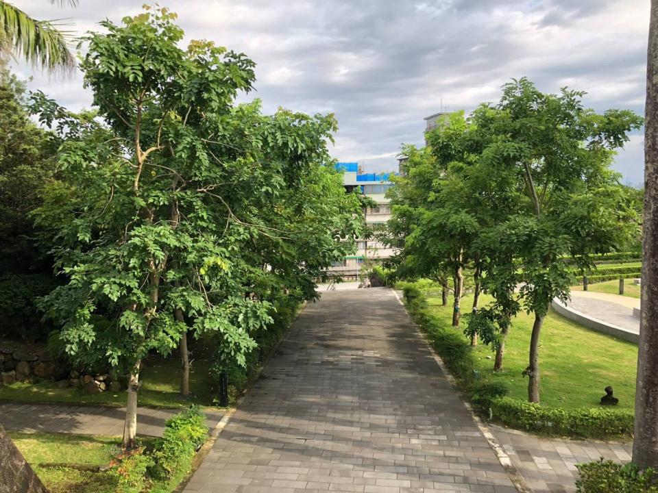 園藝維護案件圖片