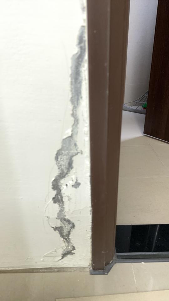 油漆工程案件圖片