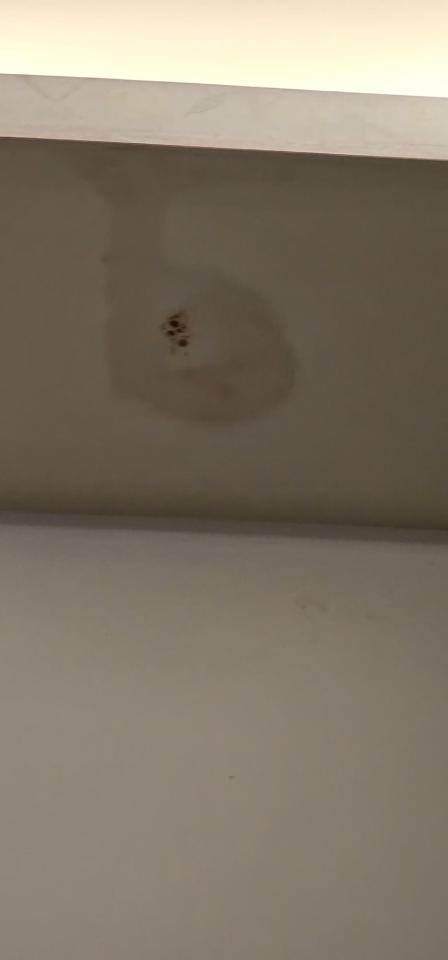 漏水處理案件圖片