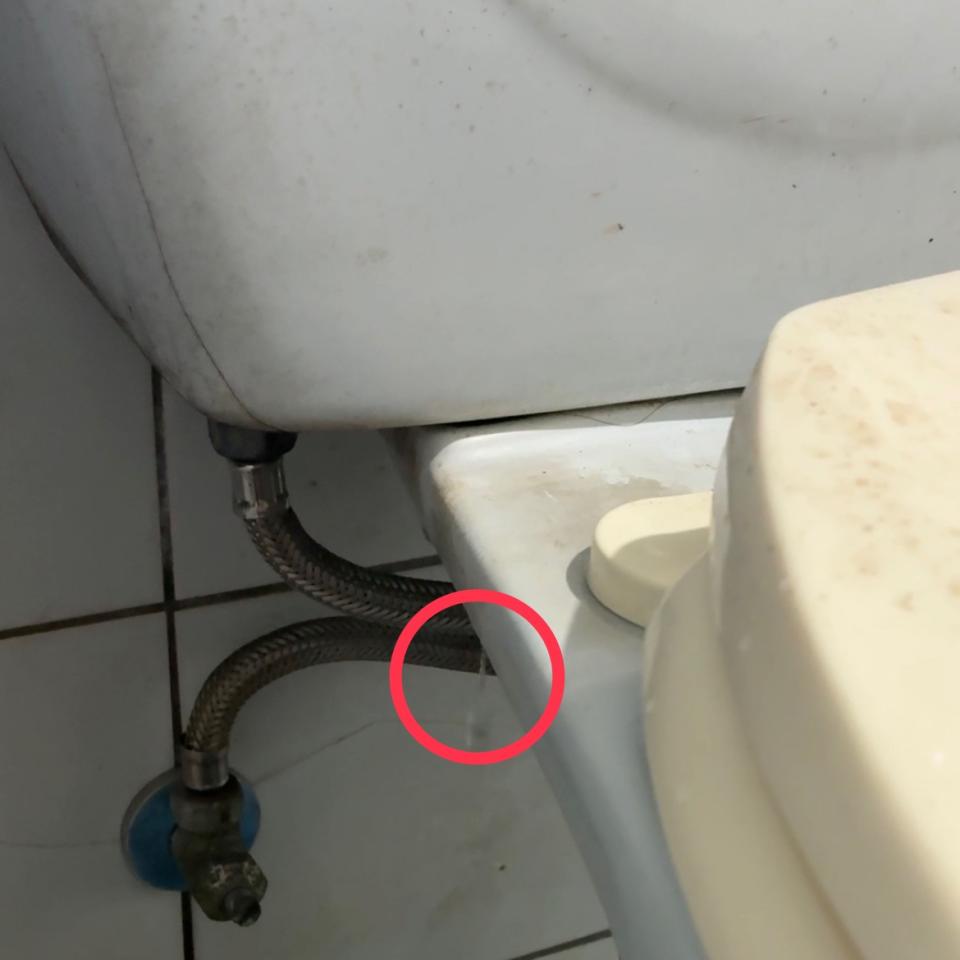 馬桶裝修案件圖片