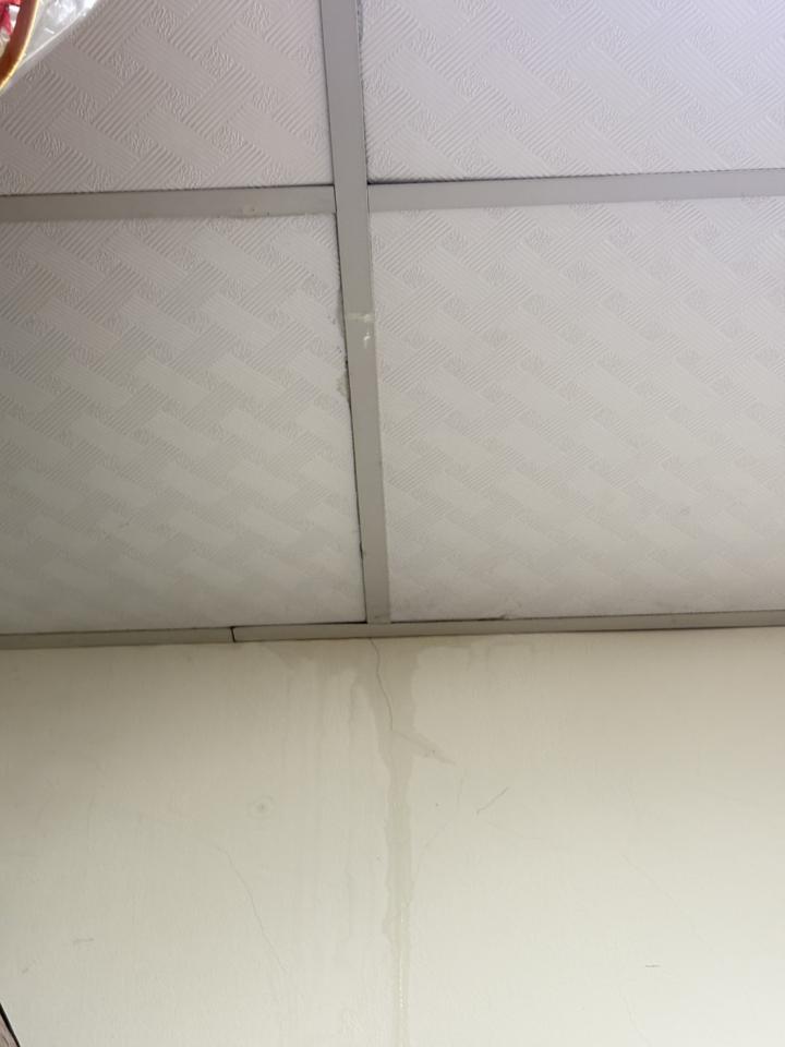 抓漏案件圖片