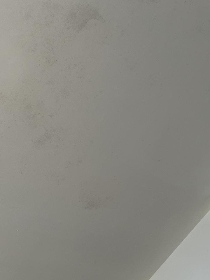 除霉案件圖片