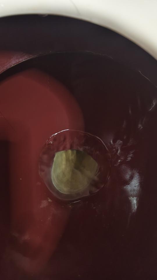 馬桶裝修案件圖片
