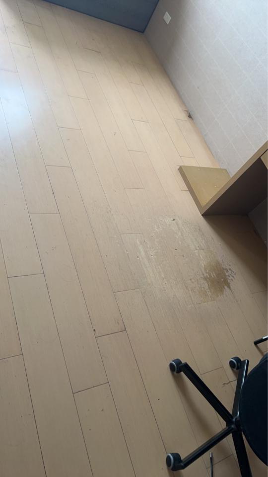 地板維修案件圖片