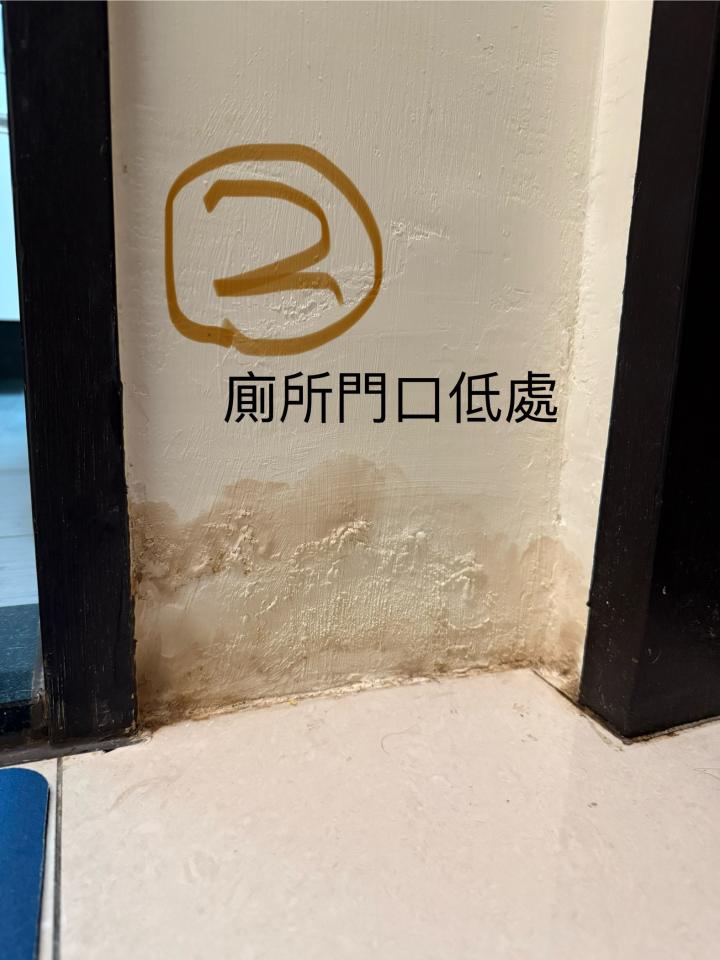 壁癌處理案件圖片