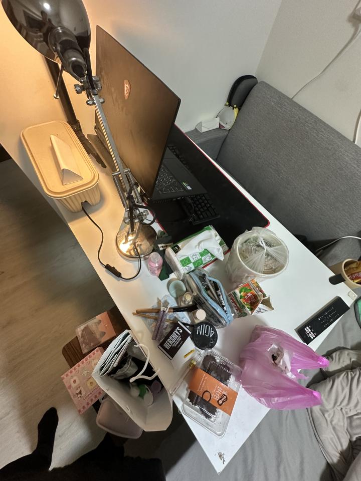 大型垃圾回收案件圖片
