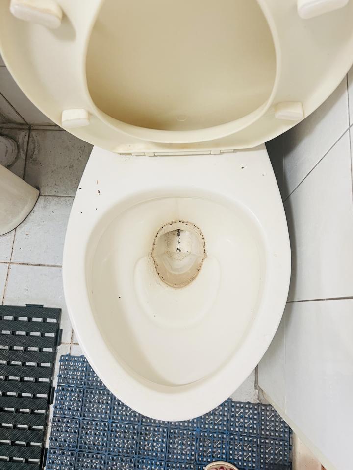 馬桶裝修案件圖片