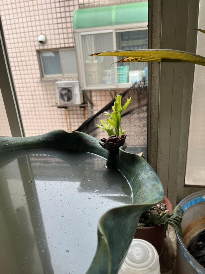 火災後清潔案件圖片