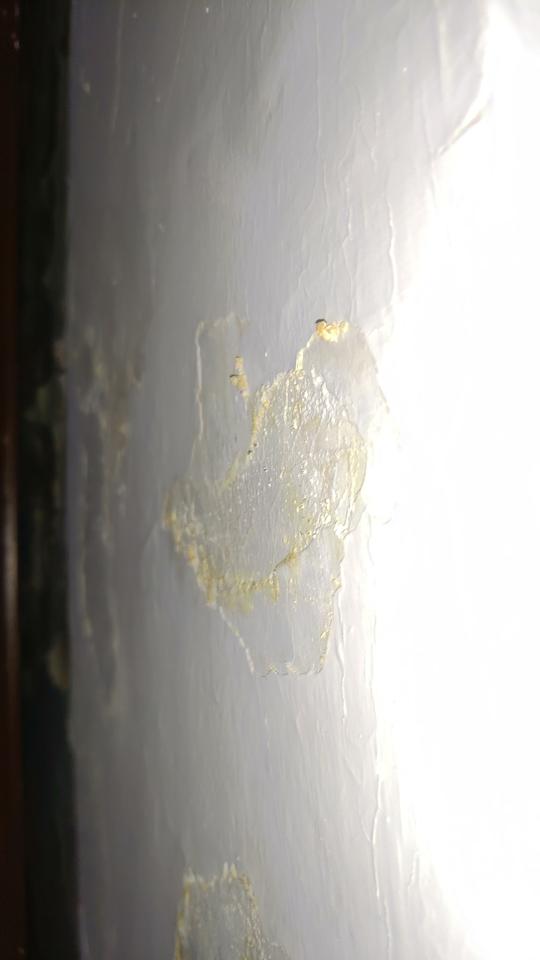抓漏案件圖片 抓漏案件圖片