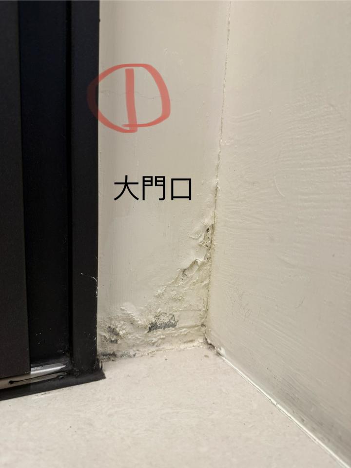 壁癌處理案件圖片