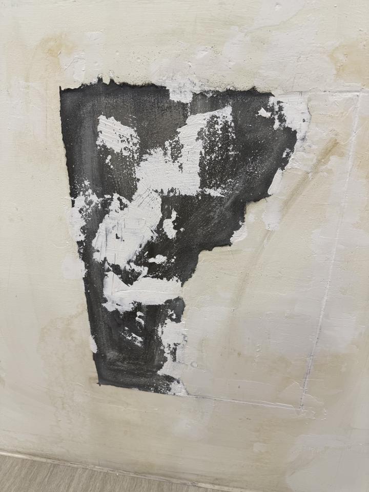 泥作/水泥施工案件圖片