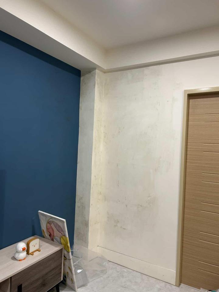 除霉案件圖片