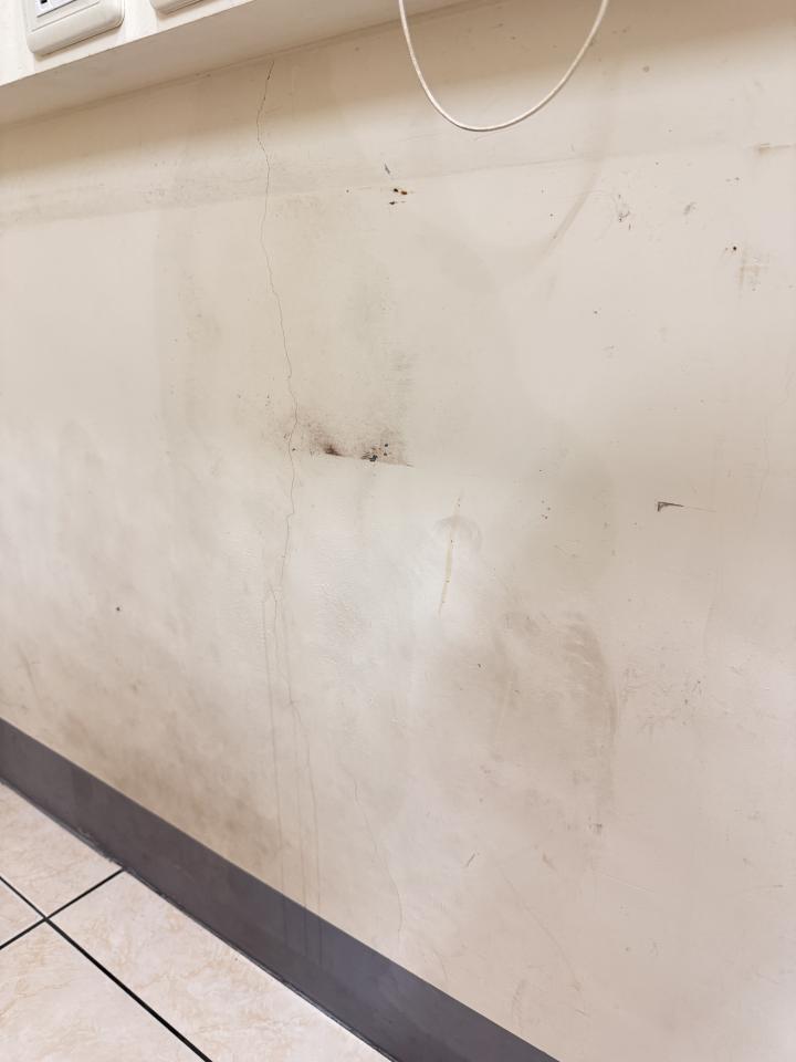 抓漏案件圖片