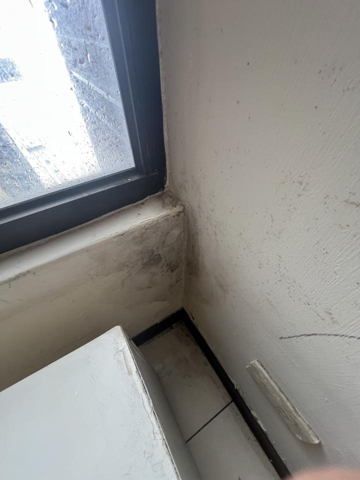 除霉案件圖片