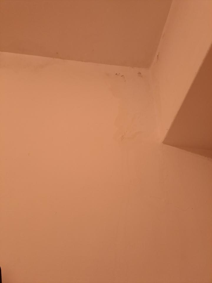 漏水處理案件圖片 漏水處理案件圖片